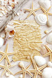 Sea shells background