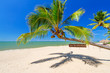 Foto: Tropical palm tree on the beach of Koh Kho Khao island, Thailand Tropical palm tree on the beach of Koh Kho Khao island, Thailand