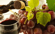 Photo : de vigne en vin de vigne en vin