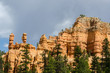 rocce nel Red Canyon in Utah