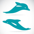 Vector image of an dolphin on white background