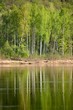 Gauja river in spring morning in Sigulda, Lativa