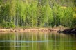 Gauja river in spring morning in Sigulda, Lativa