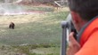 Video: tourist and bears tourist and bears