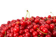 Juicy cherries