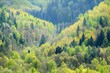 areal view on Gauja river valley in spring in Sigulda, Latvia