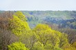 areal view on Gauja river valley in spring in Sigulda, Latvia