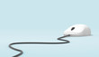 computer mouse