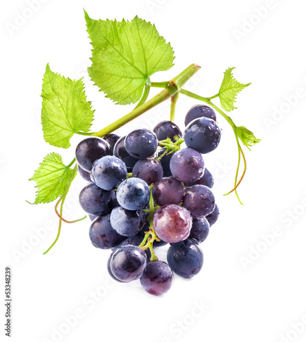 Photo: Ripe dark grapes with leaves on white background Ripe dark grapes with leaves on white background
