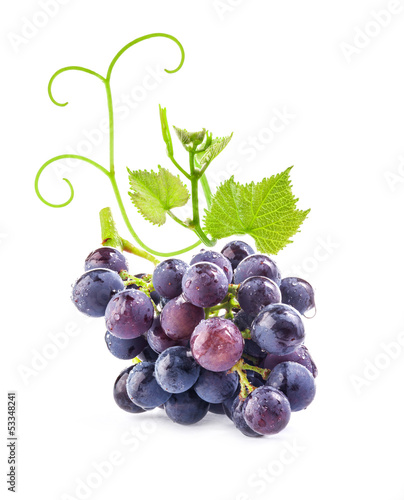 Photo: Ripe dark grapes with leaves on white background Ripe dark grapes with leaves on white background