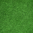 Grass field