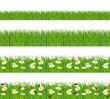 Vector: Green grass with daisies and ladybugs banners. Green grass with daisies and ladybugs banners.
