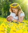 mother  feeding her baby in nature green meadow with yellow flow