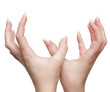 Photo: manicured hands on white manicured hands on white