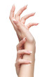 Photo: isolated hands with manicure isolated hands with manicure