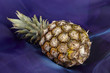 Ananas - Popart