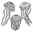 Set isolated black jellyfish on a white background