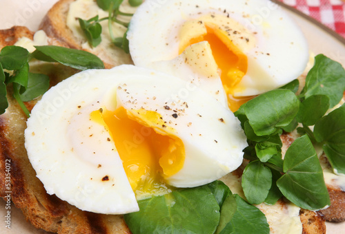 Photo: Poached Eggs on Toast Poached Eggs on Toast