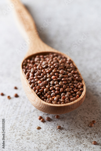 Photo: Brown lentils in a wooden spoon Brown lentils in a wooden spoon
