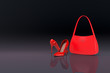 women's shoes and bag