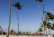 Tropical beach