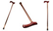 walking stick
