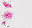 Vektor: beautiful cosmos flowers beautiful cosmos flowers