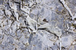 texture - pietra