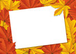 Vector: Herbst Herbst