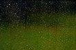 Photo: drops of water drops of water