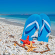 sandals and sea stars