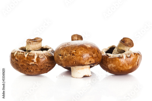 Photo: Fresh mushroom champignon isolated on white background . fresh Fresh mushroom champignon isolated on white background . fresh