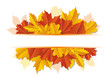 Vector: Herbst Herbst