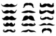 Vector: Man moustaches Man moustaches