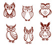 Set of cartoon owls