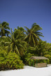 Maldives Beach with small Hut