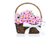 Chrysanthemum flowers in the wicker