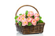 Roses in the wicker