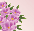canvas print picture peony flowers