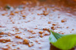 Bolognese Sauce