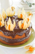 Pumpkin Cake With Chocolate Cr...