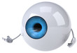 Eye