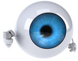 Eye