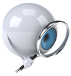 Eye