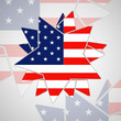 The abstract star with american flag, vector illustration eps10
