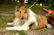 Photo: Chien Colley Chien Colley