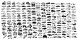 collection of cars