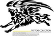 Vector image of an dog fly on white background