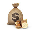 Photo: money bag money bag