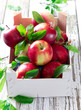 Fresh red apples